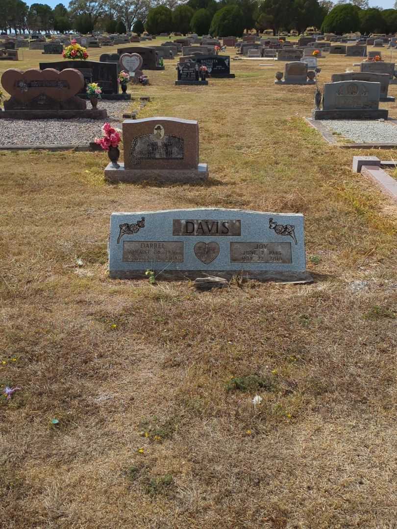 Darrel Davis's grave. Photo 2