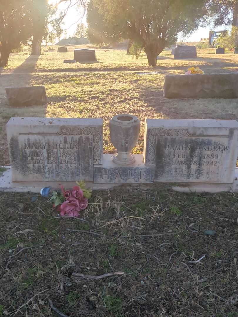 James Andrew Hale's grave. Photo 2