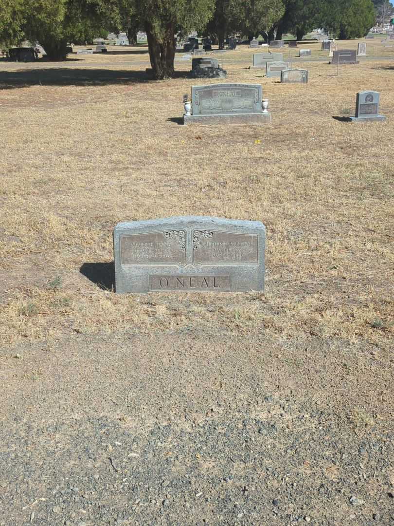Robert Wesley O'Neal's grave. Photo 1