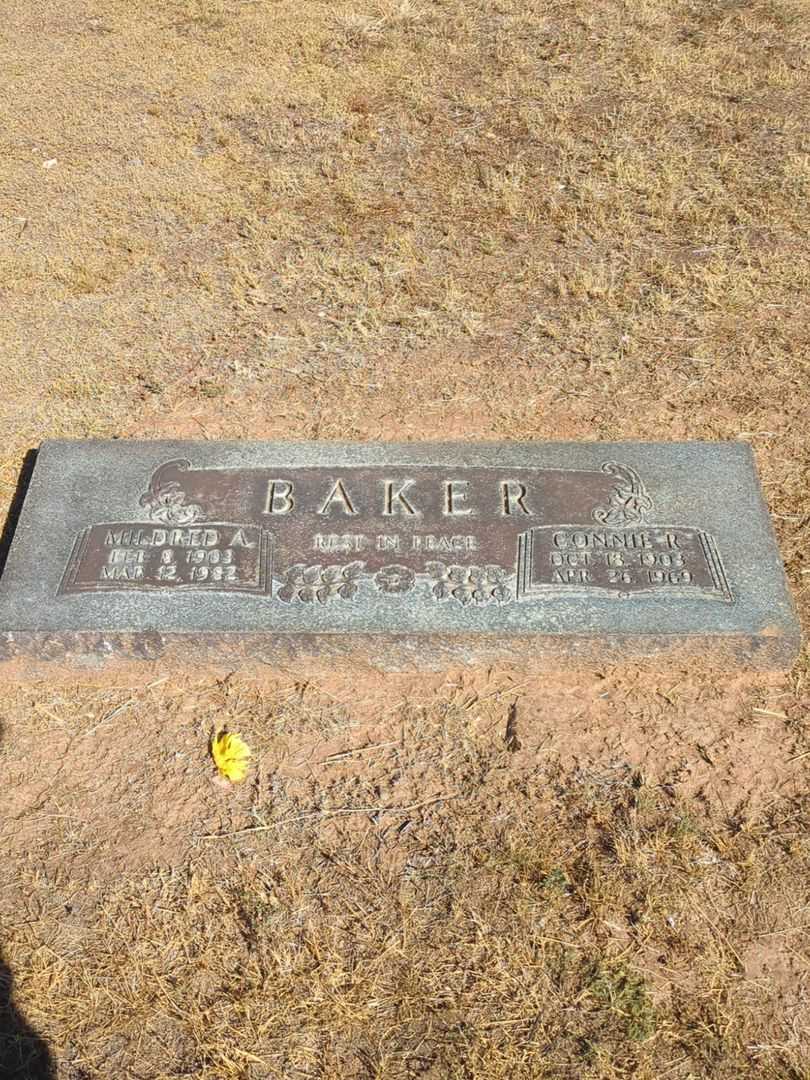 Connie R. Baker's grave. Photo 1