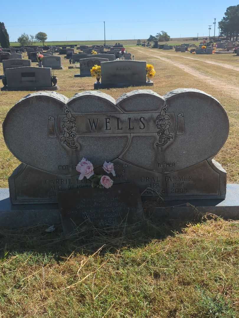 Ural Farmer Wells's grave. Photo 1