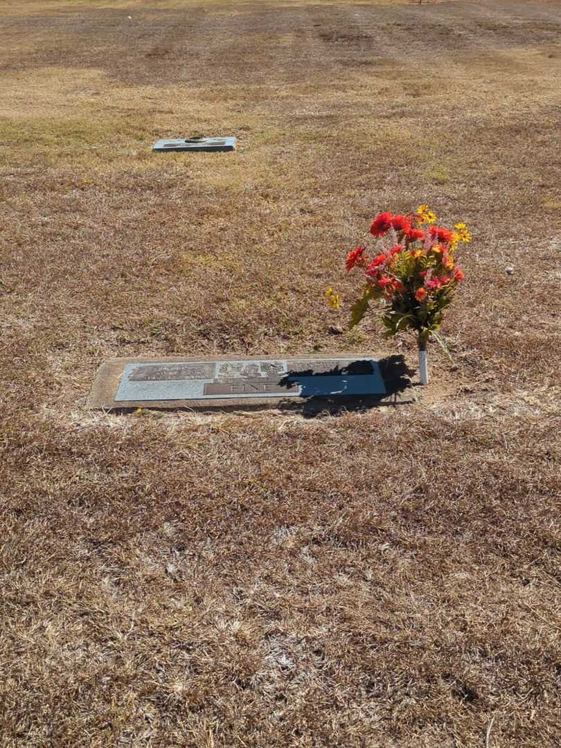 Malchus Levi Fine's grave. Photo 2