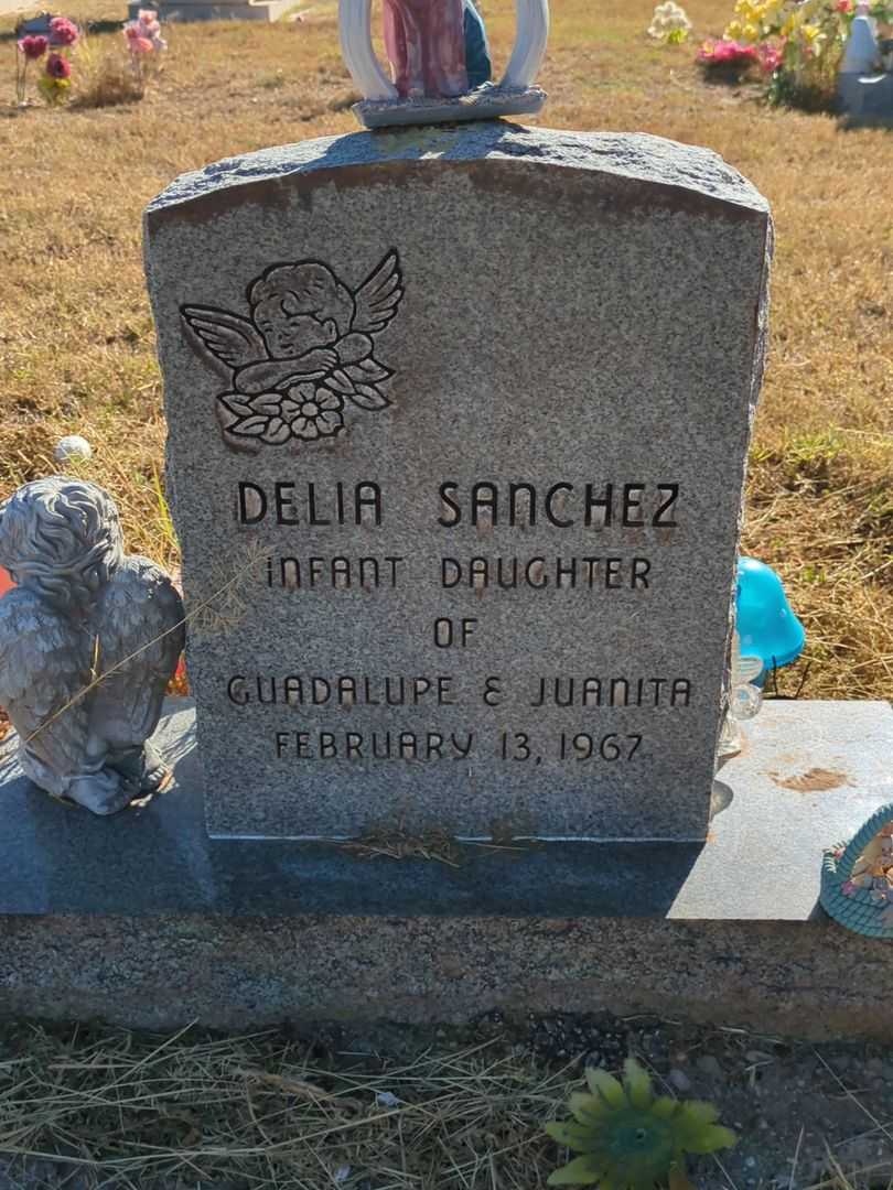 Delia Sanchez's grave. Photo 1