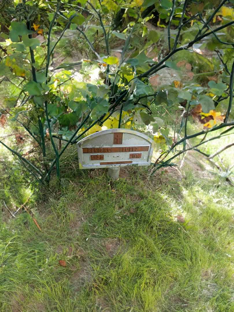 Antonio G. Vega's grave. Photo 3