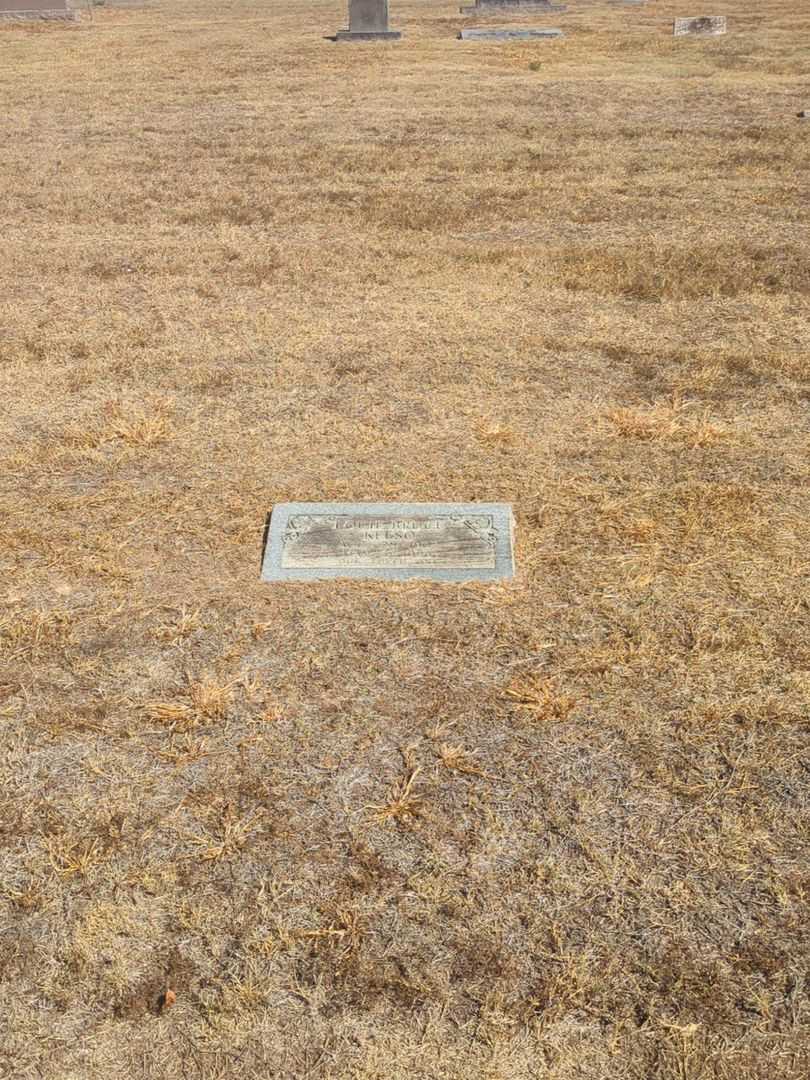 Louie Bruce Kelso's grave. Photo 1