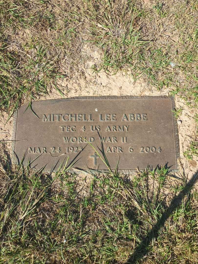 Mitchell Lee Abbe's grave. Photo 4